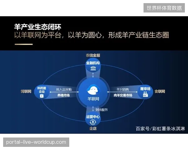 北美体育场周边商业生态如何下沉移动端数据以实现观赛闭环转化